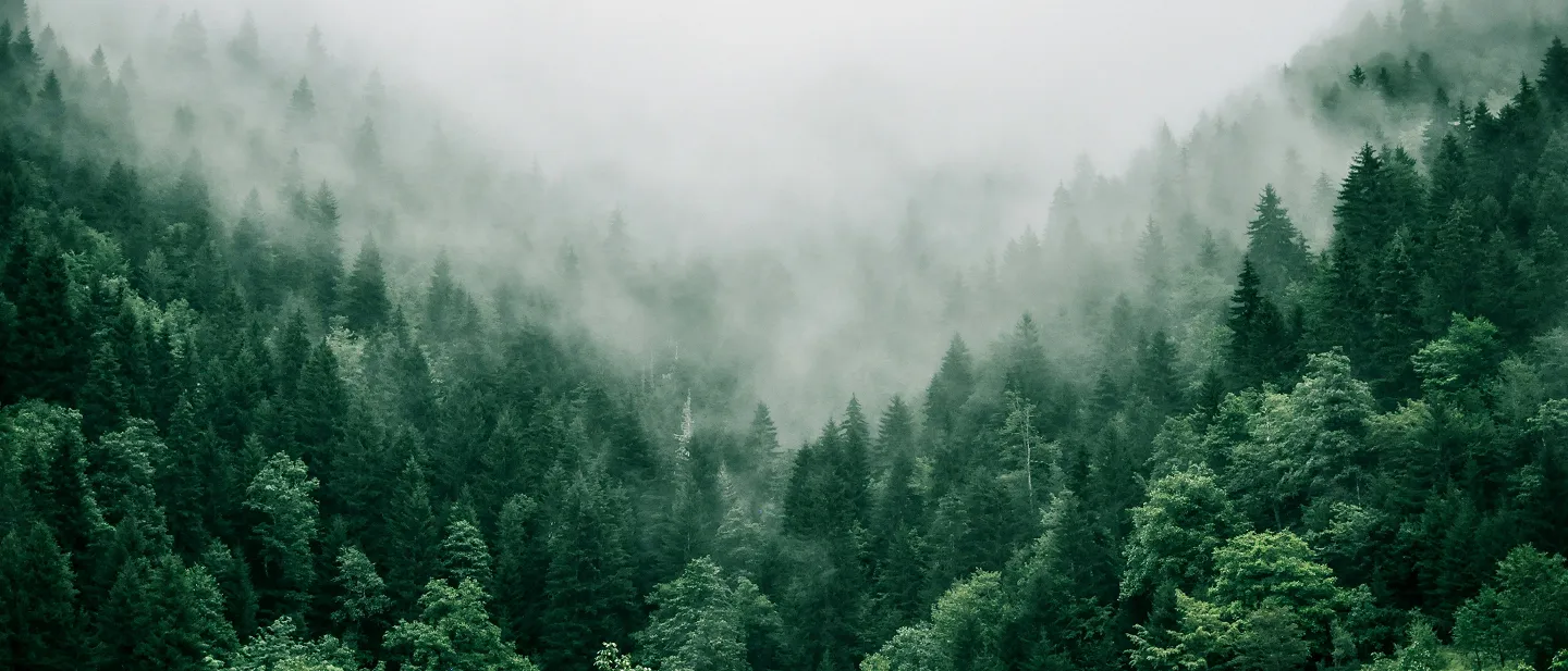 Responsible by Nature
