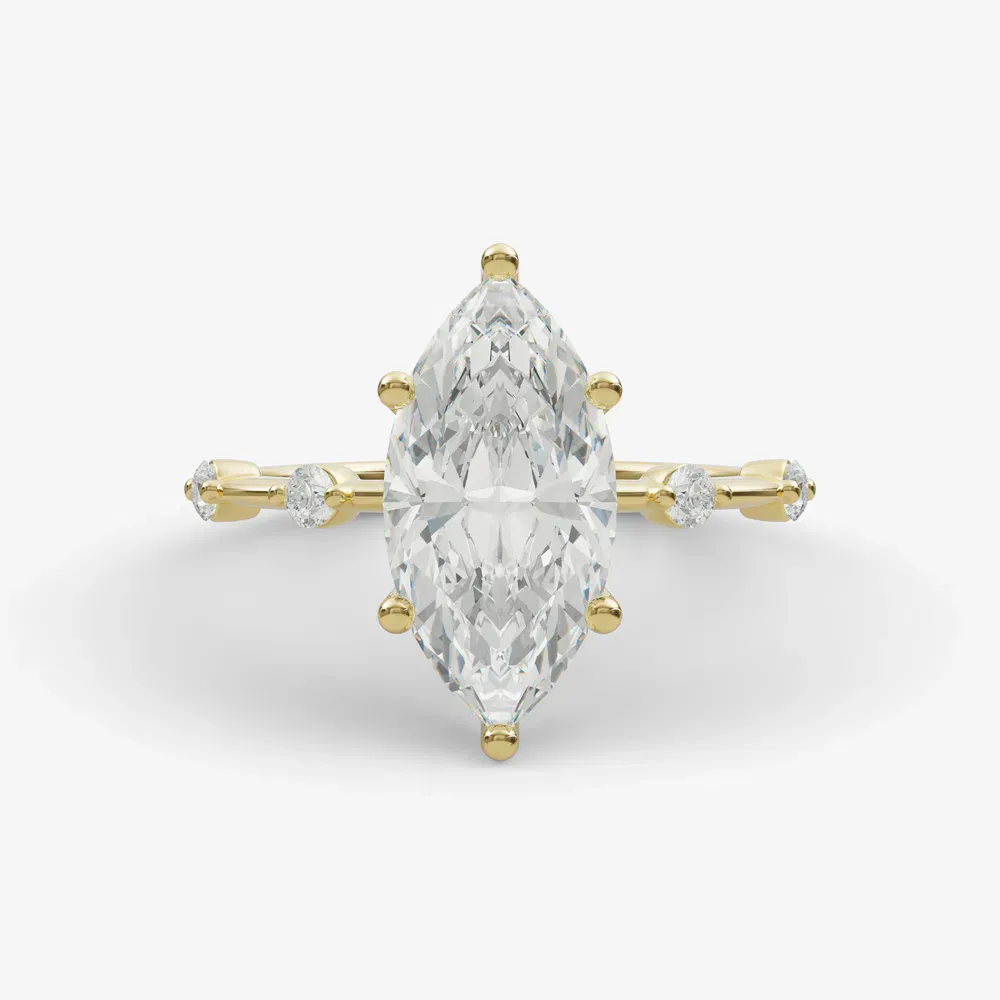 top View