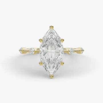 top View