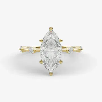 top View