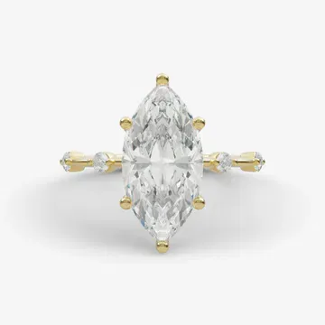 top View