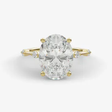 top View