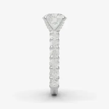 side View